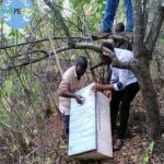 Beekeeping Project